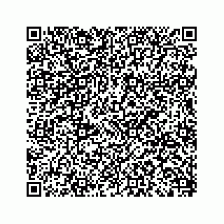 vCard 79963260269