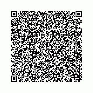 vCard 79963260271