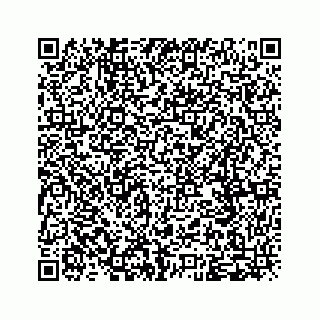 vCard 79963260286