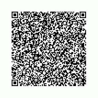 vCard 79963260293