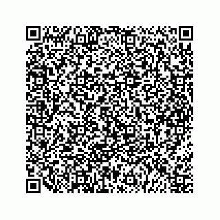 vCard 79963260294