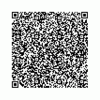 vCard 79963260295