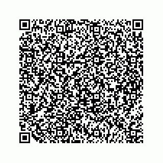 vCard 79963260298