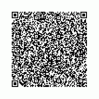 vCard 79963260301