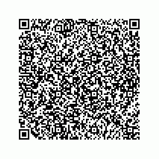 vCard 79963260303