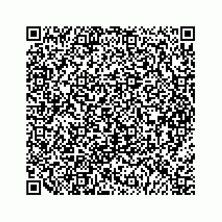 vCard 79963260308