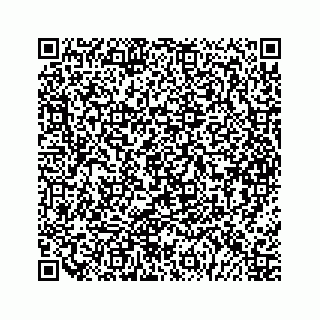 vCard 79963260309