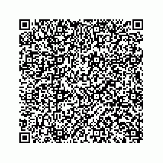 vCard 79963260310