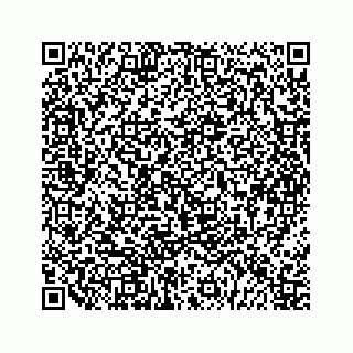 vCard 79963260312