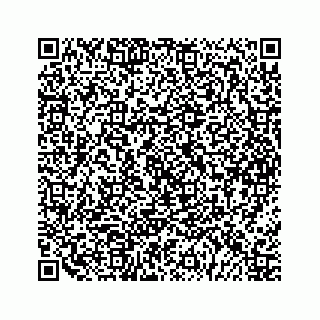vCard 79963260313