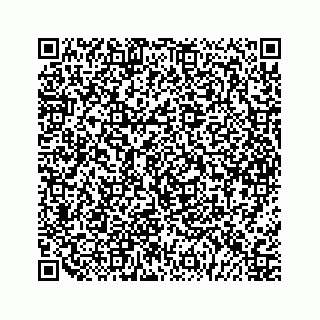vCard 79963260317