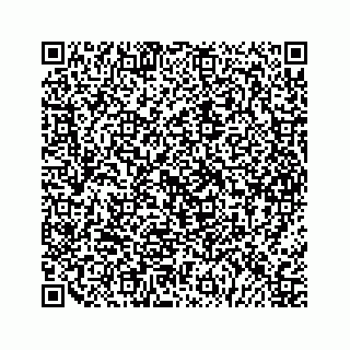 vCard 79963260325