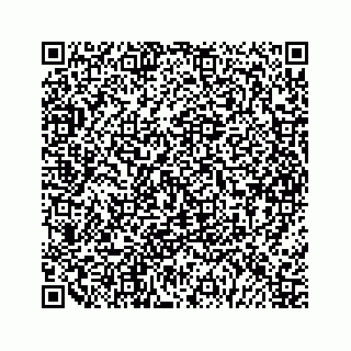 vCard 79963260331