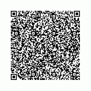 vCard 79963260335