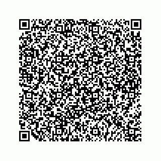 vCard 79963260337