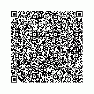 vCard 79963260339