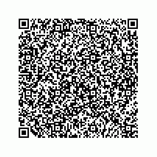 vCard 79963260346