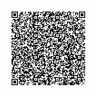 vCard 79963260347