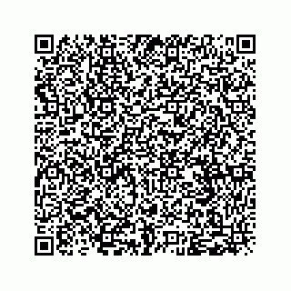 vCard 79963260349