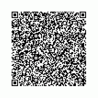 vCard 79963260352