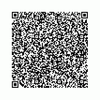vCard 79963260354