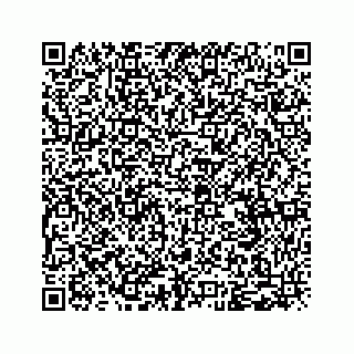 vCard 79963260369