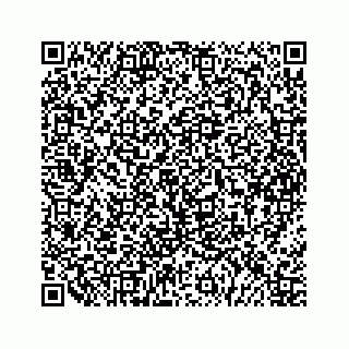 vCard 79963260374