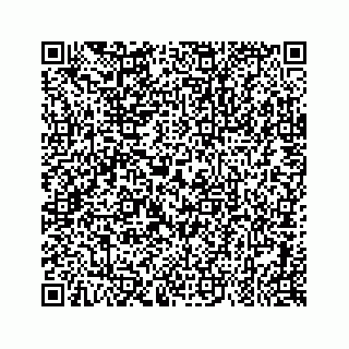 vCard 79963260375