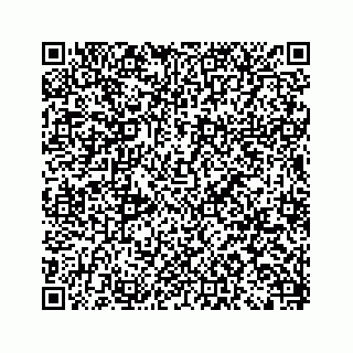 vCard 79963260377