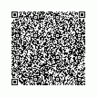vCard 79963260378