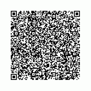 vCard 79963260381