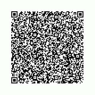 vCard 79963260388