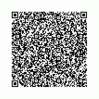 vCard 79963260389