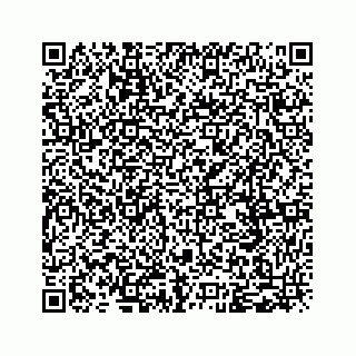 vCard 79963260394