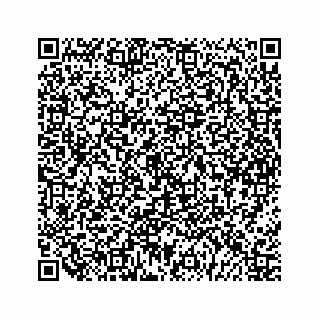 vCard 79963260397