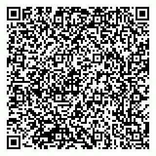 vCard 79963310139