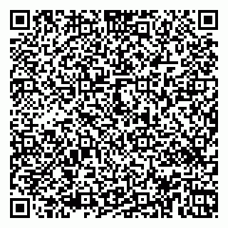 vCard 79963460303