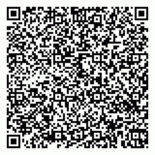 vCard 79963460319