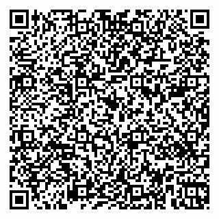 vCard 79963480331