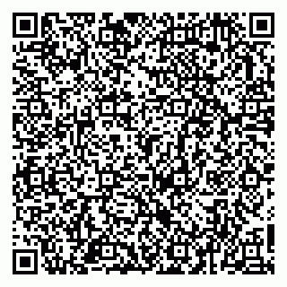 vCard 79963481629