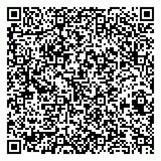 vCard 79963481631