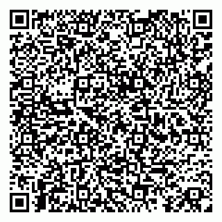 vCard 79963481633