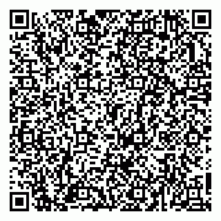 vCard 79963481731