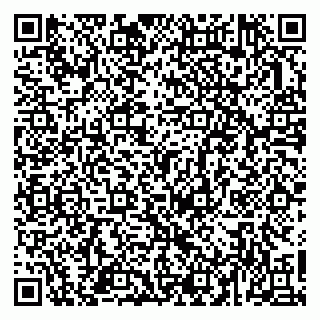 vCard 79963481733