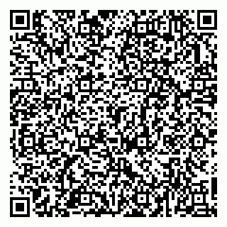 vCard 79963481735
