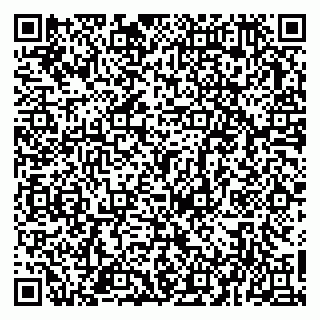 vCard 79963481740