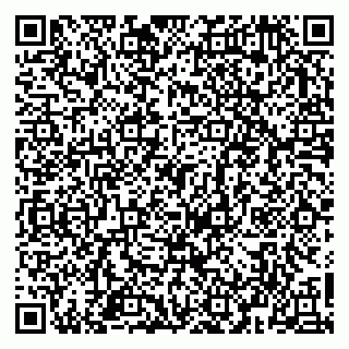 vCard 79963481789