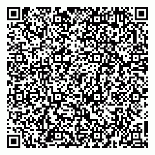 vCard 79963481799
