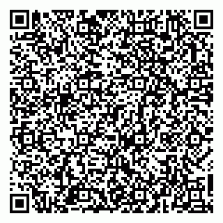 vCard 79963481807