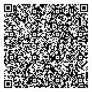 vCard 79963481817